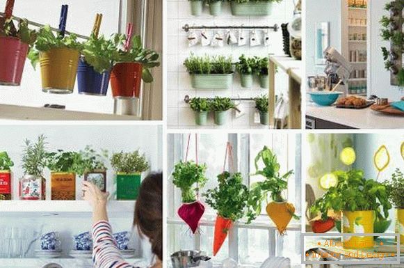 Original kitchen decor - photos of ideas with green herbs