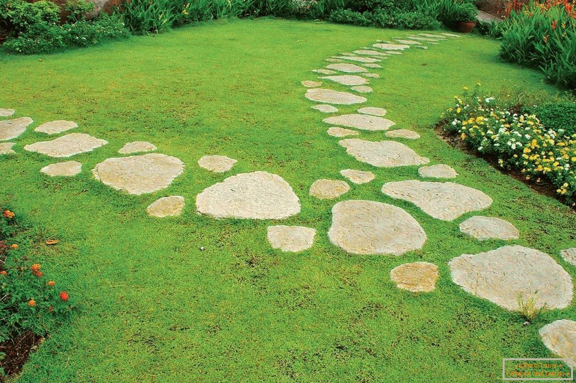 Stone path on the lawn