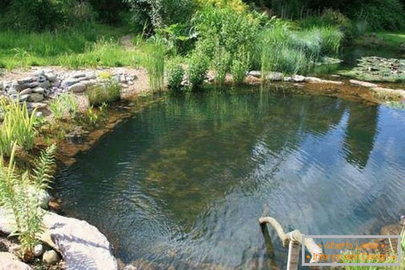 Beautiful pools - design with your own hands with photo