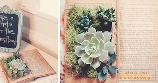Decor - a book with plants