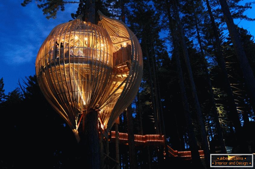 17 most striking and unusual tree designs on the tree