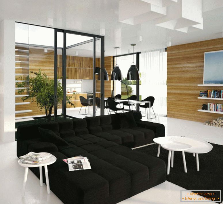 Black and white living room - 55 photos of unusual living