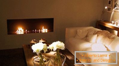 What are bio-fireplaces for an apartment (70 creative ideas)
