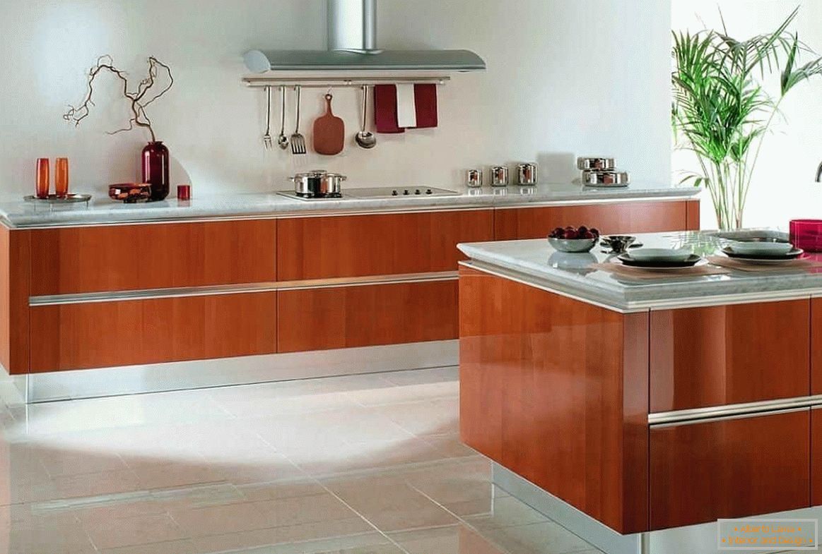 Design of a large kitchen - 50 photo of interiors