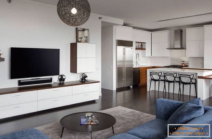 Interior design of the living room in wenge color (59