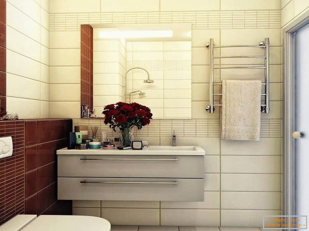 Bathroom design in the panel house: features and options