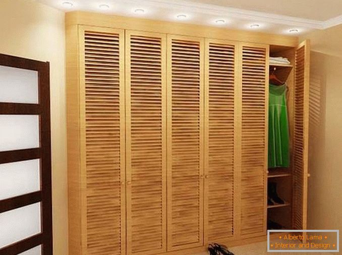 Doors for the dressing room: 30 photos and description of