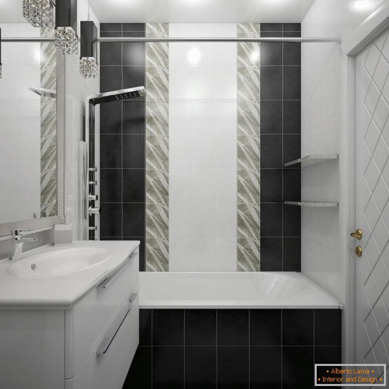 Doors for the bathroom - which to choose, review,