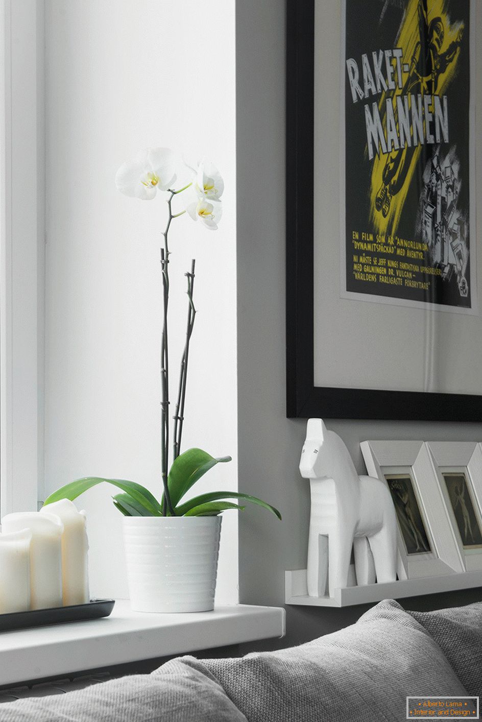 Ideal design that transformed the standard small apartment