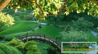 How to create an english lawn with your own hands? (45