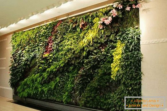 Indoor plants in the interior of the apartment - 65 photos