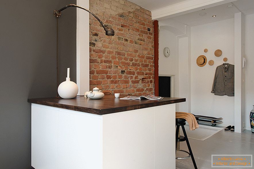 A small apartment in loft style will amaze your imagination,