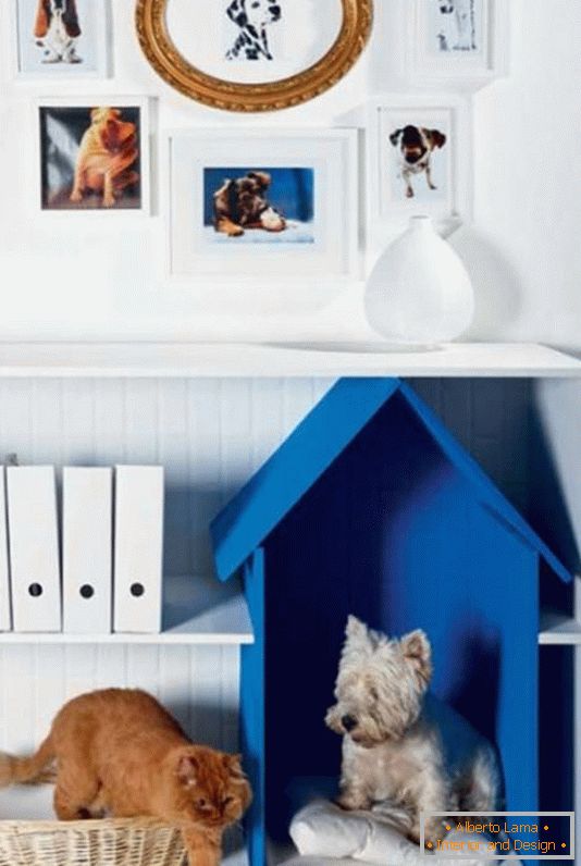 Arrangement of a place for an animal in an apartment