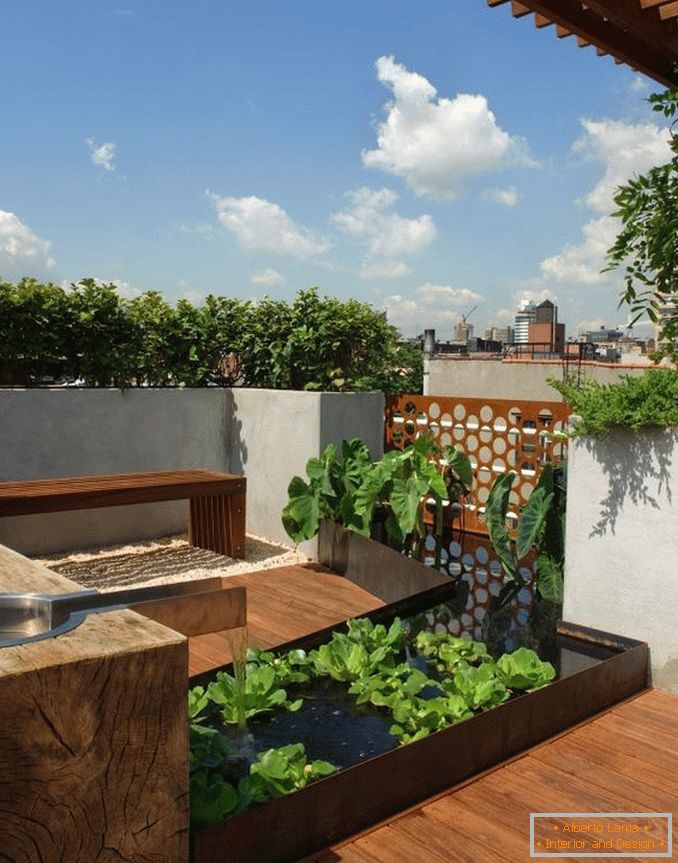 Arrangement of a modern garden with a swimming pool