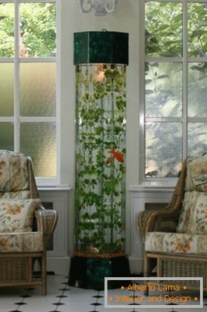 The charm of nature: 5 ideas for placing an aquarium