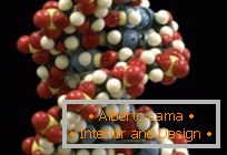 The first biological transistor made of dna and rna