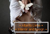 Poetry of butterflies - works of the french photographer