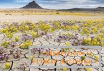 Deserts in utah, exploded in colors