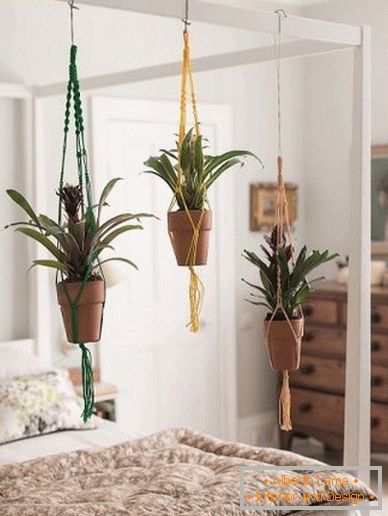 Plants in modern interior design: 7 unique solutions and 39