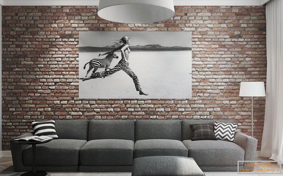 Gray sofa: its features and color combinations +75 photo