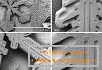 Snowflakes under the electron microscope from beltsville