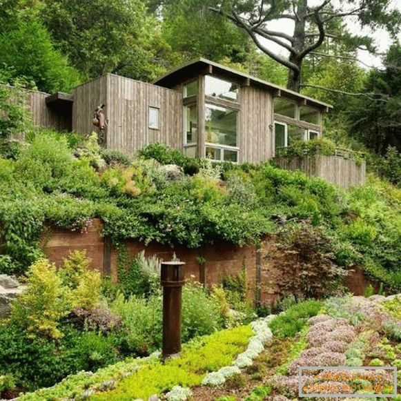 Modern wooden houses: types of facades and photos