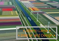 Tulipmania or colorful tulip fields in holland