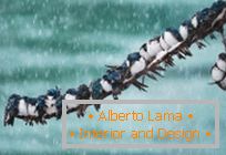 Amazing landscapes and the nature of canada's north in keith