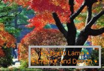 Around the world: a garden of six poems