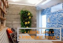 Living walls: how they can improve your home and your health